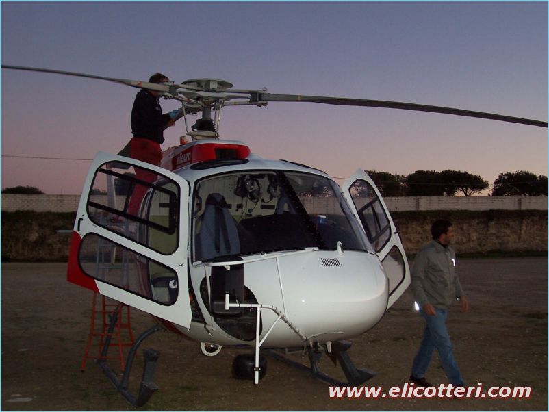 elifoto (19)